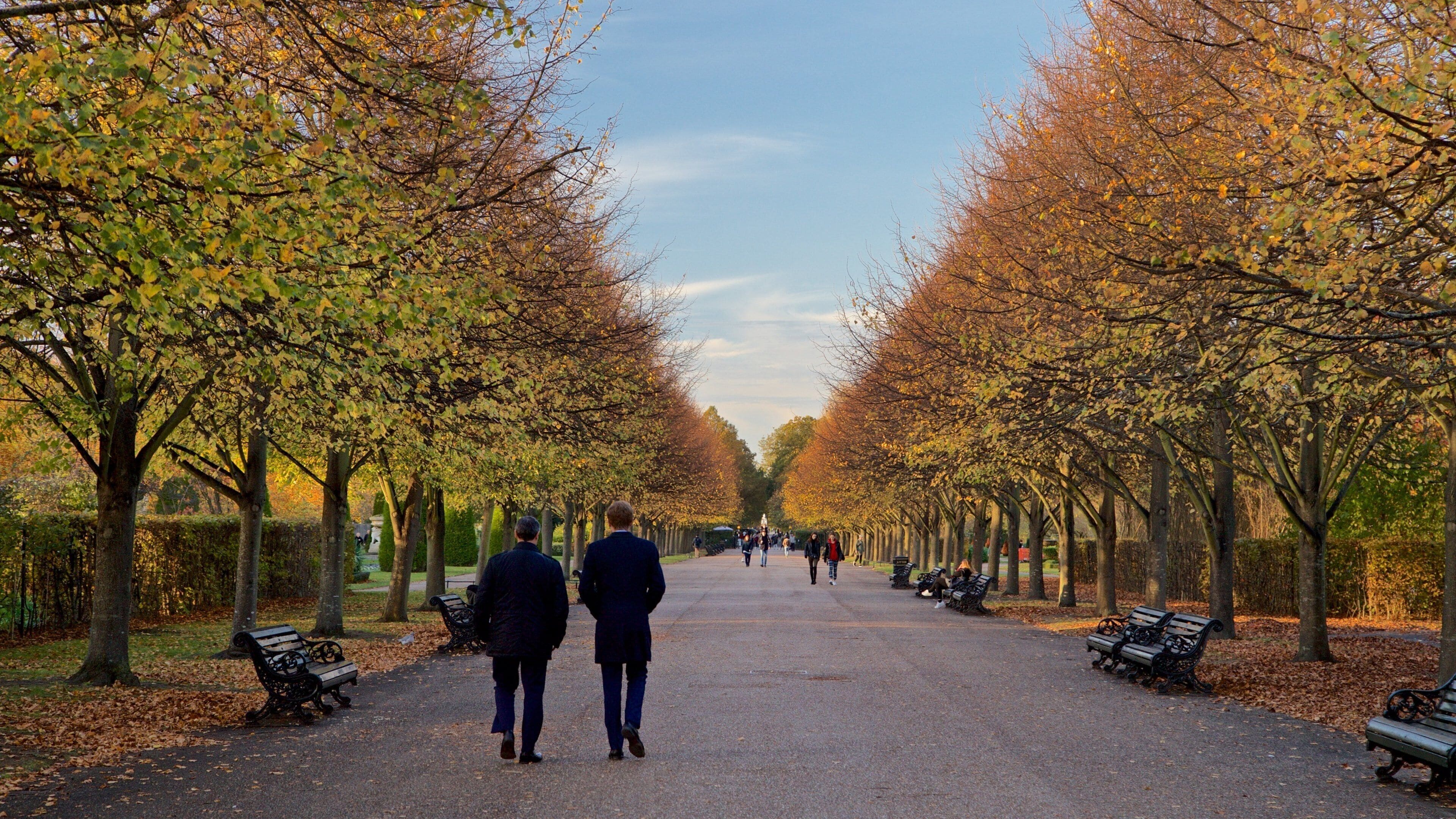 A tree-lined pathway with benches and people walking.