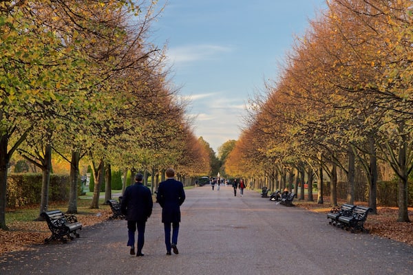 Un sentier bordé d’arbres, avec des bancs et des gens qui se promènent.