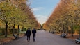A tree-lined pathway with benches and people walking.