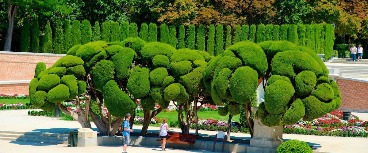 Parque de El Retiro ofreciendo un parque