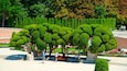 El Retiro Park which includes a garden