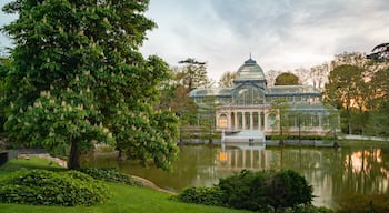 El Retiro Park showing a park, a pond and a sunset
