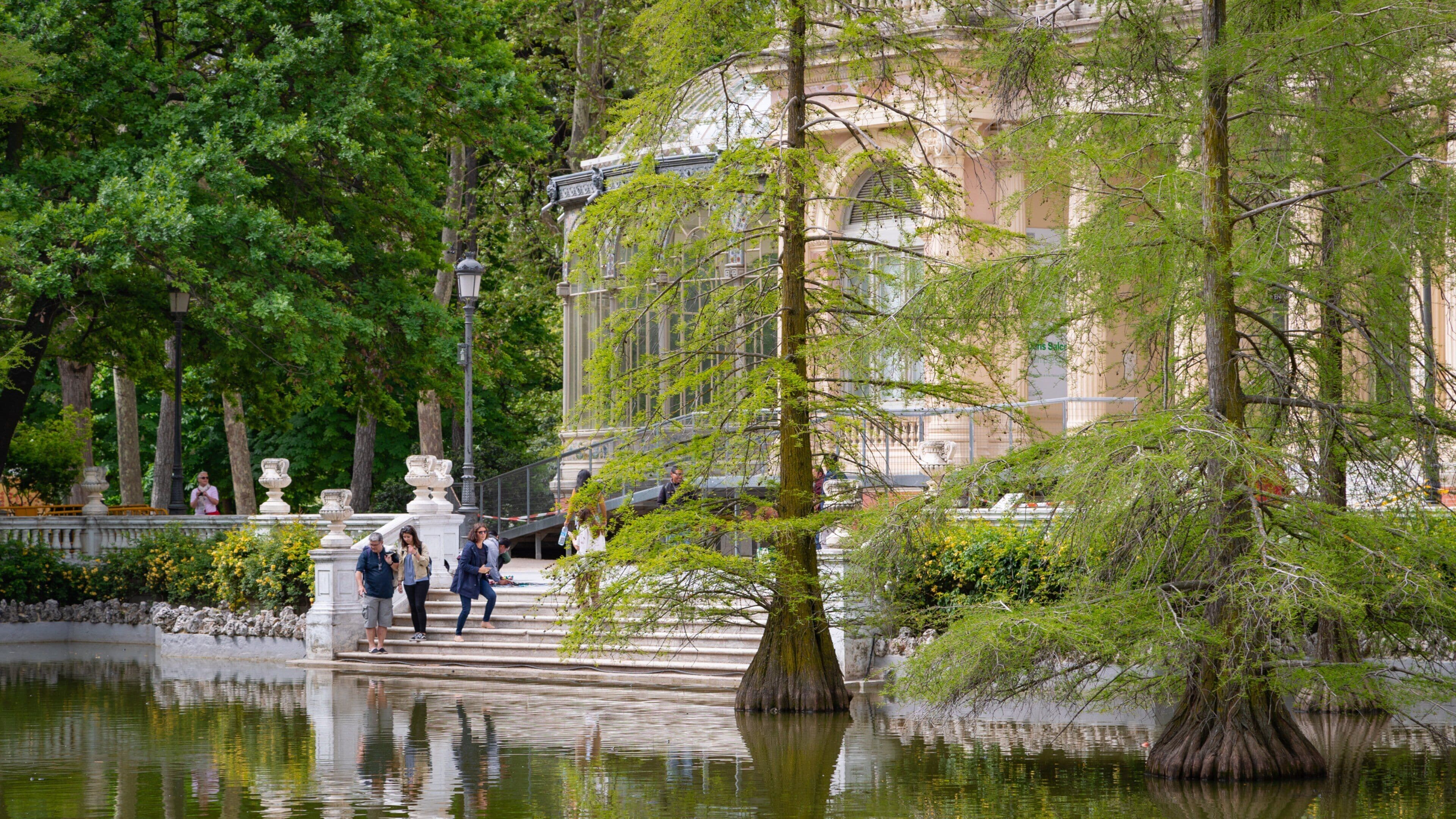 El Retiro Park which includes a garden and a pond as well as a small group of people