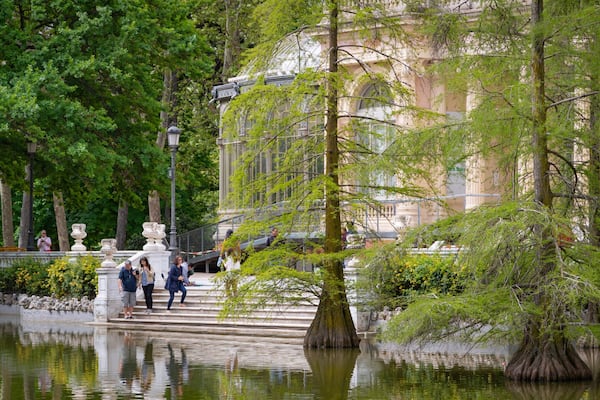 El Retiro Park which includes a garden and a pond as well as a small group of people