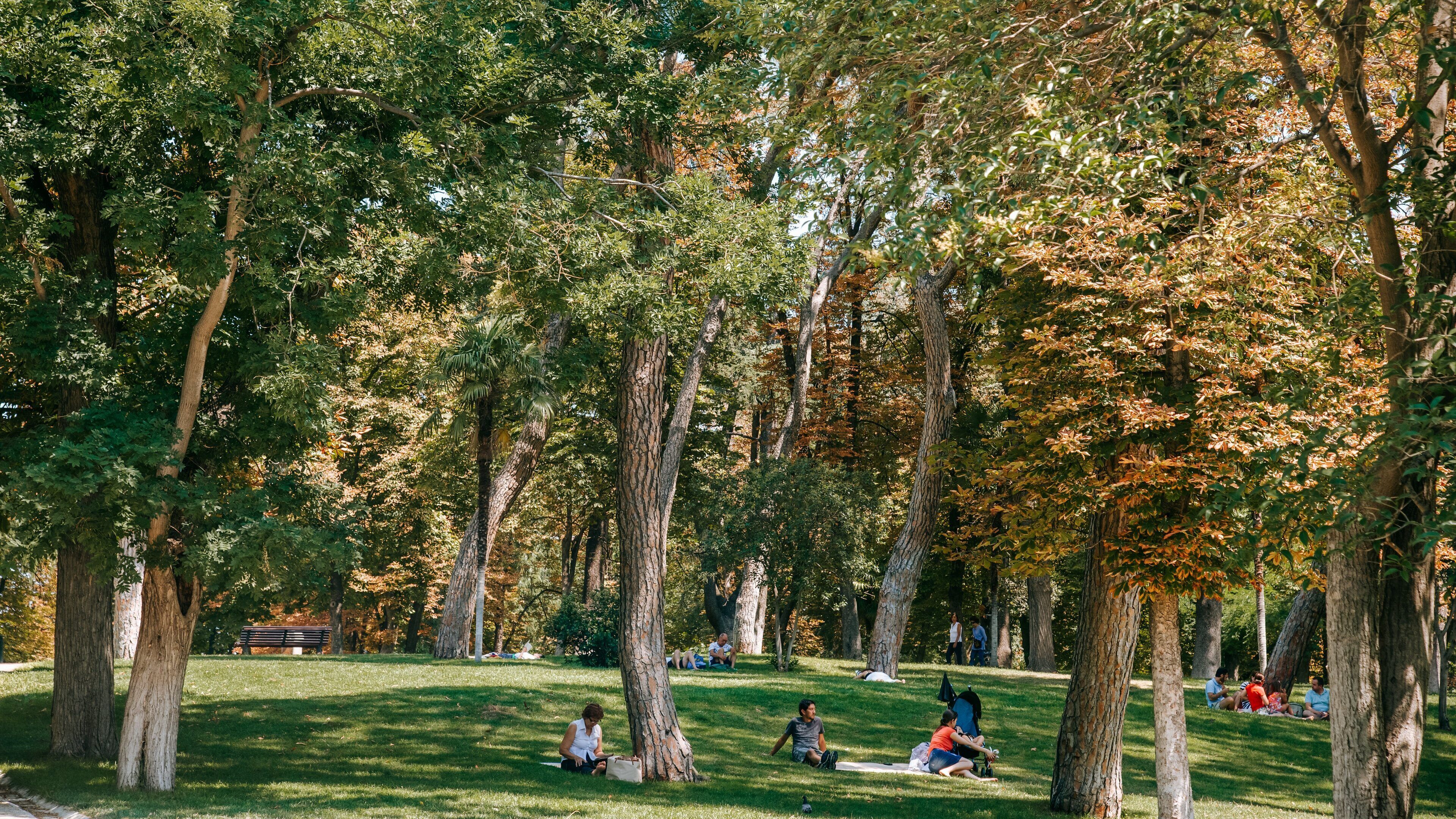 El Retiro Park showing picnicing and a park