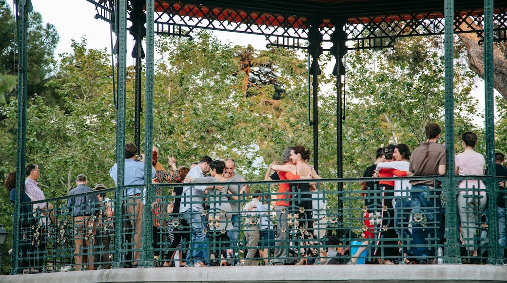 El Retiro Park which includes music and street performance as well as a small group of people