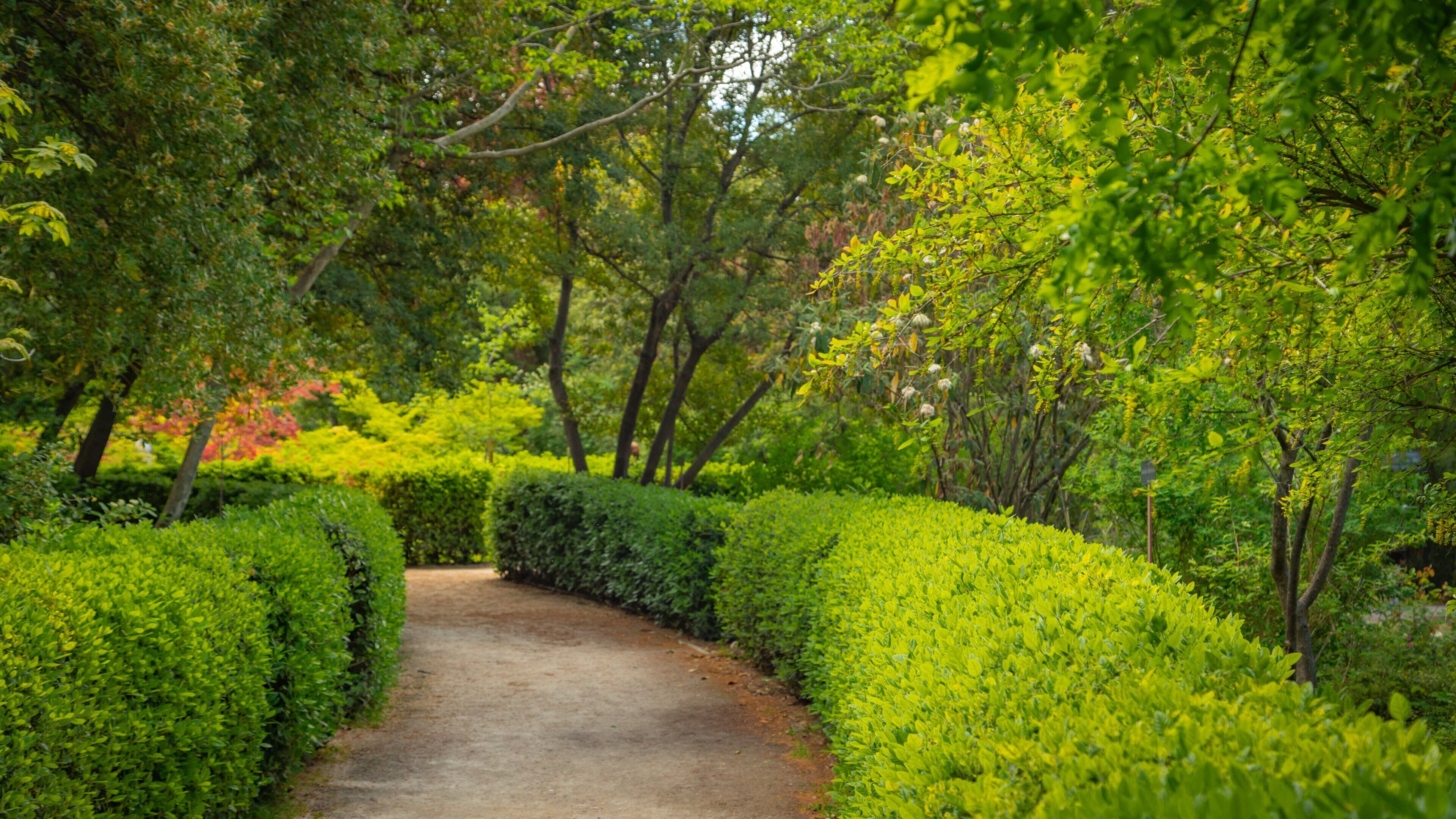 Royal Botanical Garden which includes a garden
