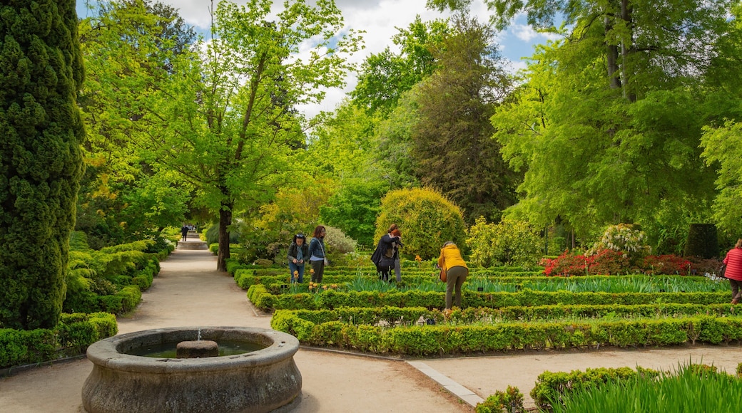 Royal Botanical Garden which includes a park and a fountain as well as a small group of people