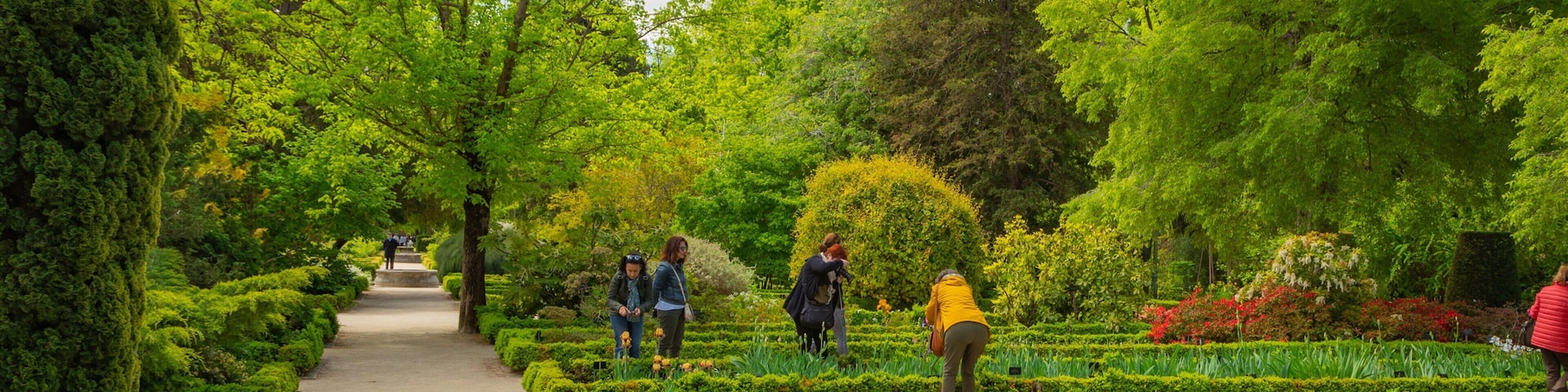 Royal Botanical Garden which includes a park and a fountain as well as a small group of people
