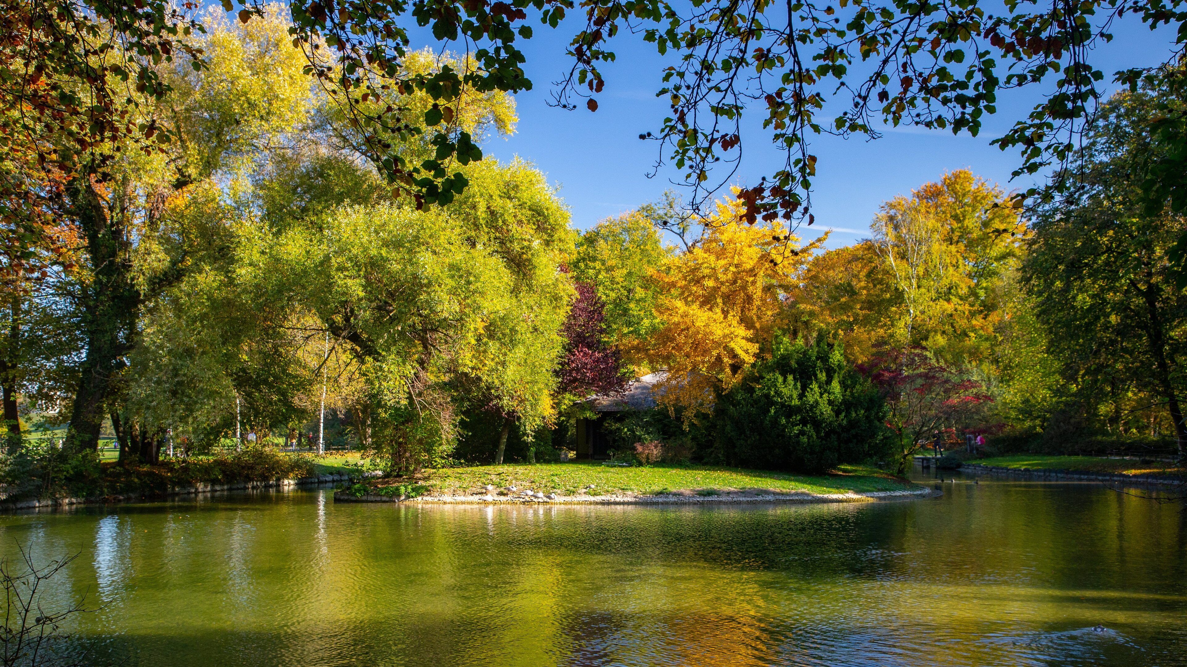 English Garden featuring a pond