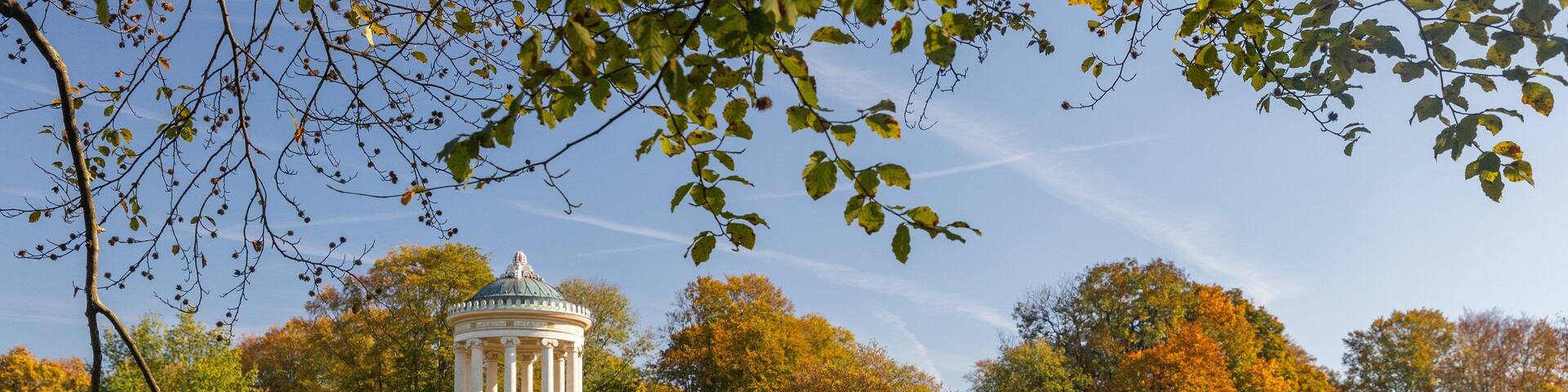 English Garden showing a garden