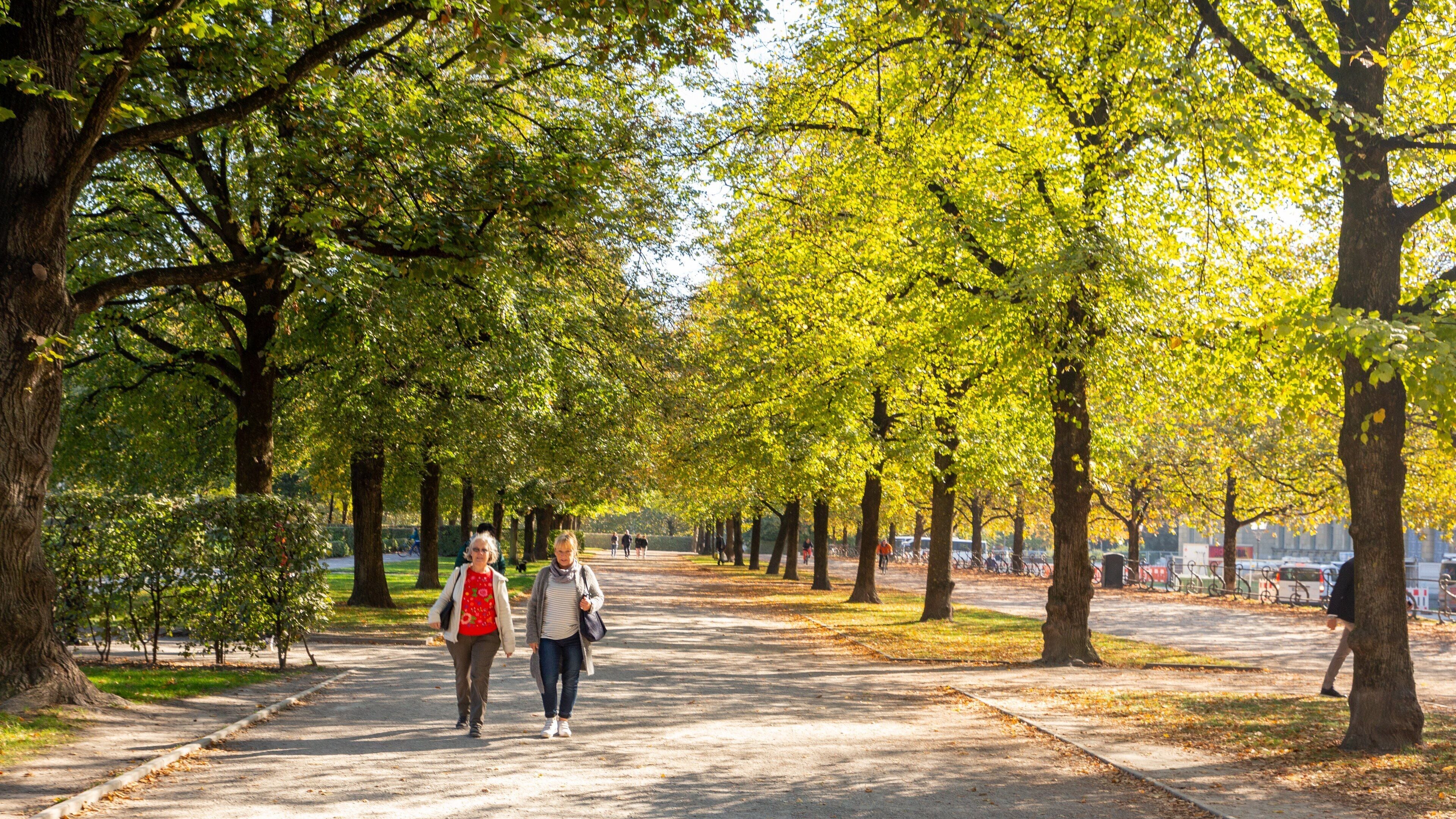 Hofgarten featuring a garden as well as a couple