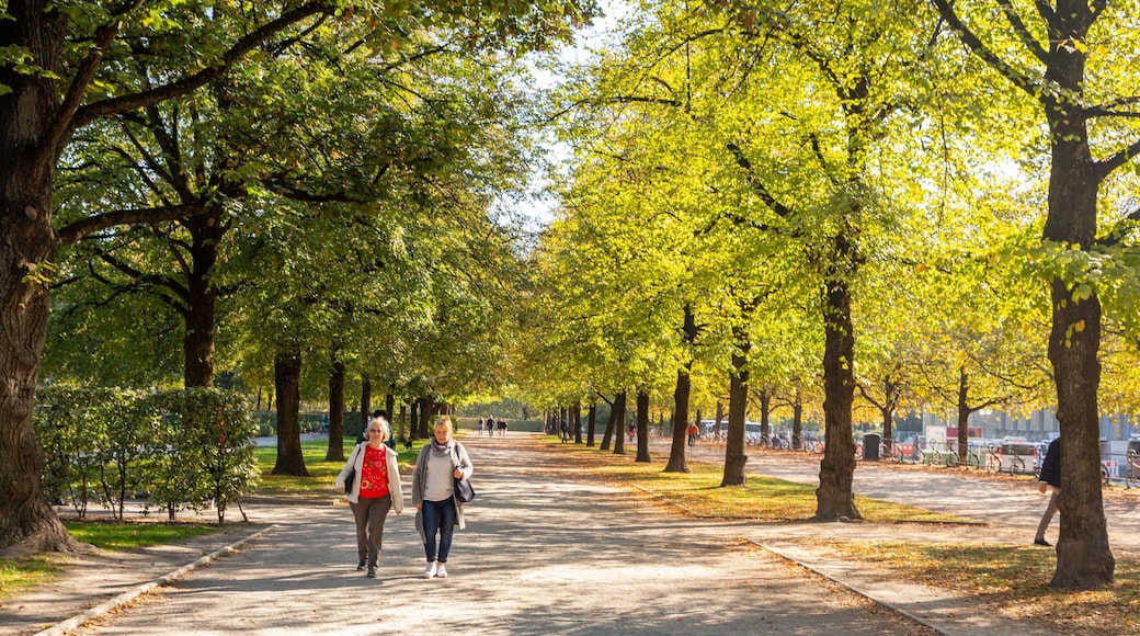 Hofgarten featuring a garden as well as a couple
