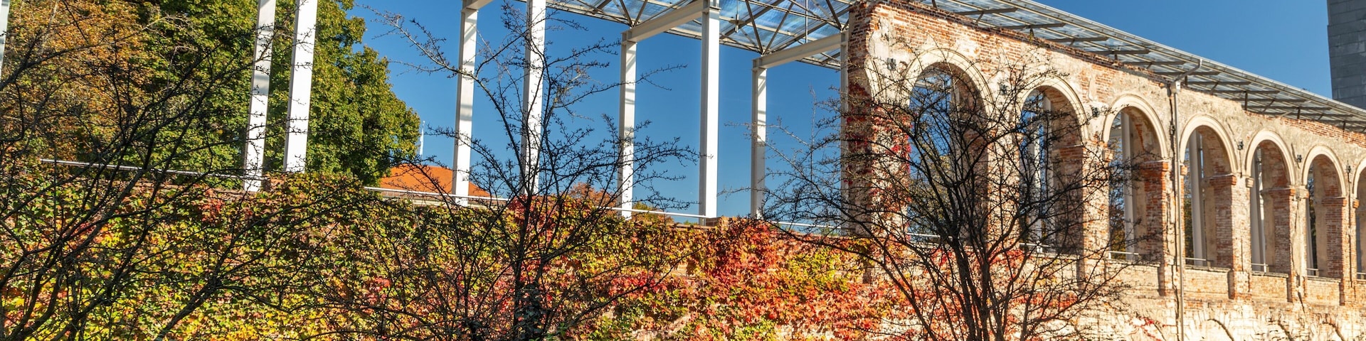 Hofgarten which includes a garden