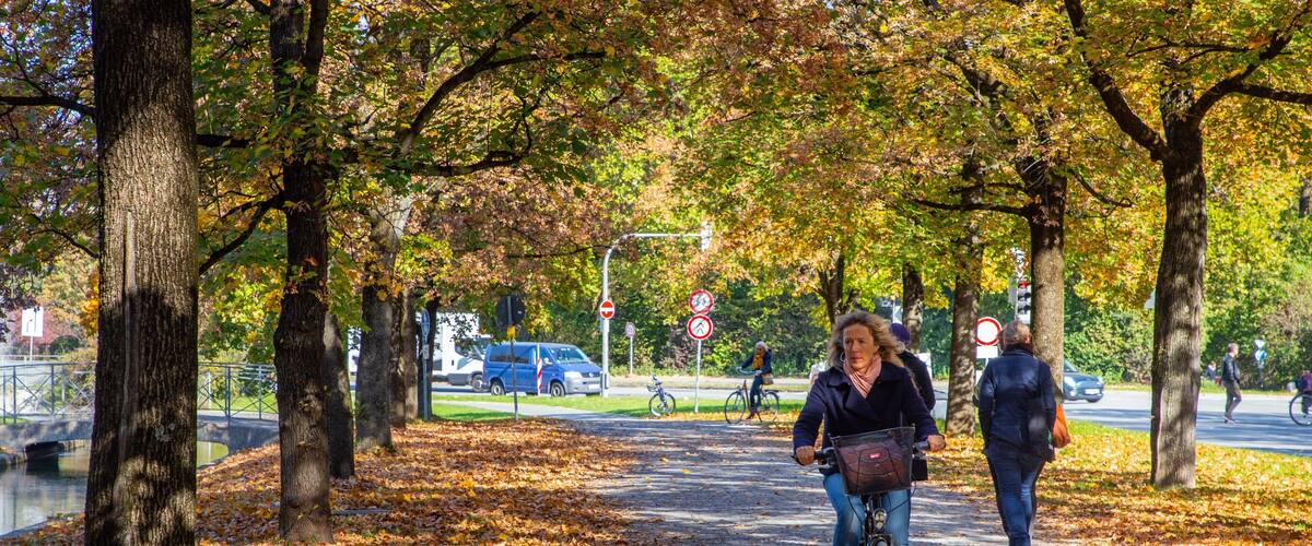 Hofgarten showing autumn leaves, a garden and cycling