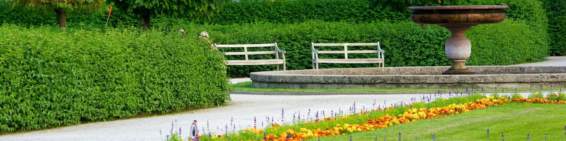 Hofgarten showing a park and flowers