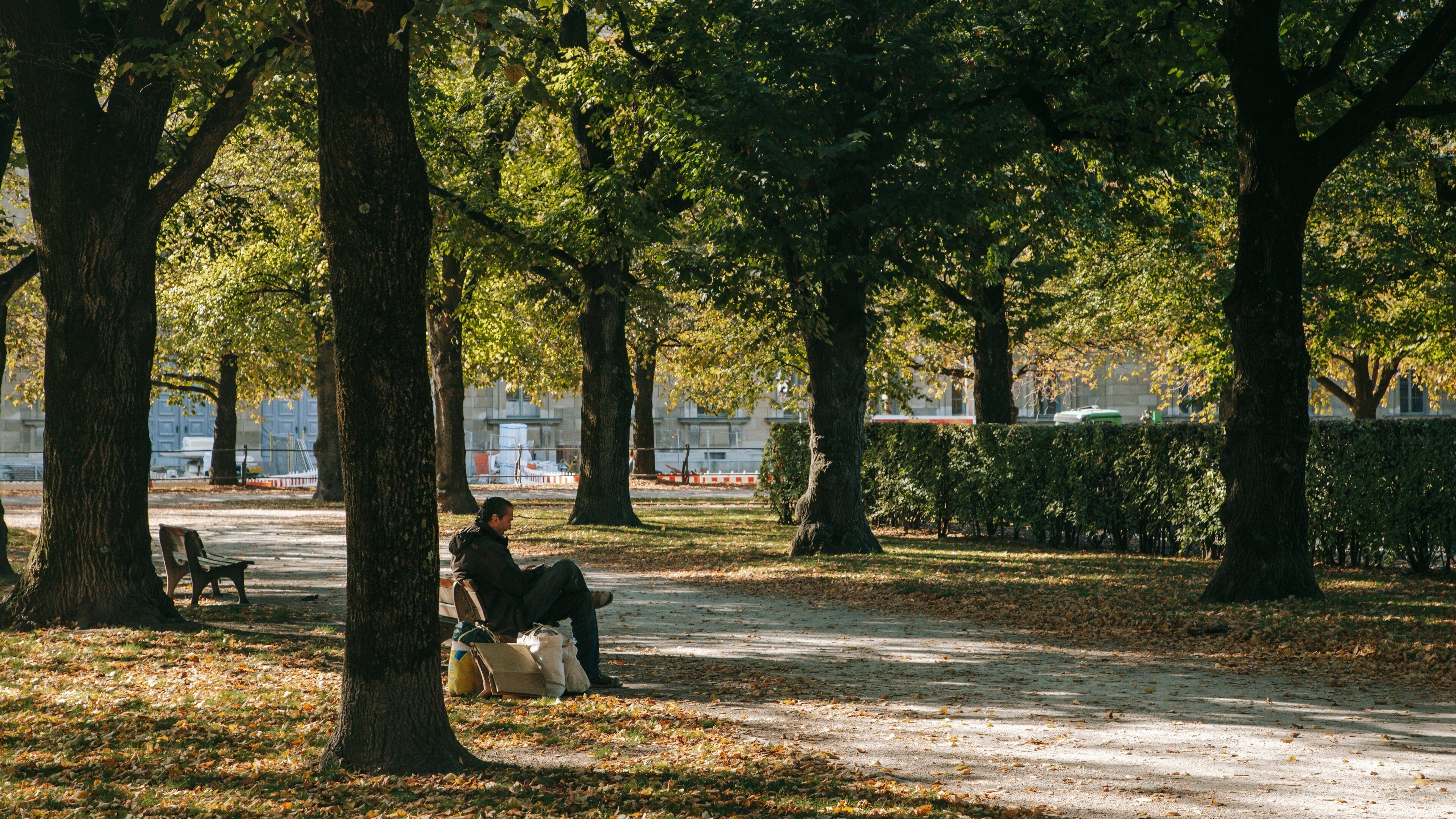 Hofgarten showing a park as well as an individual male