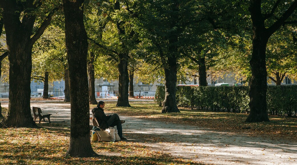 Hofgarten showing a park as well as an individual male