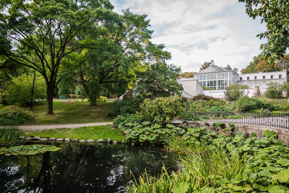 A pond surrounded by lush greenery, a pathway, and a building with a glass facade.