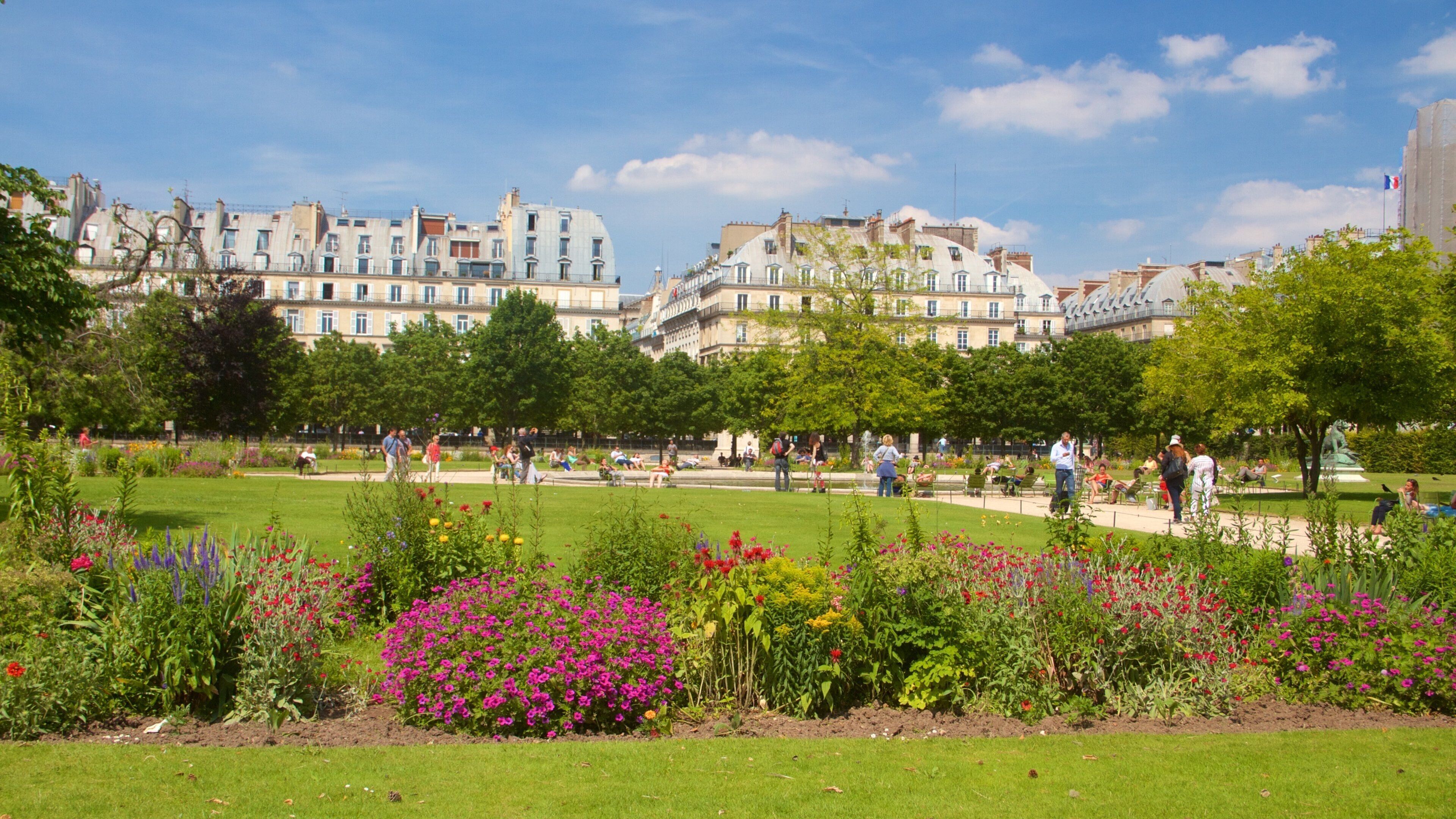 Giardini di Tuileries caratteristiche di fiori, città e giardino