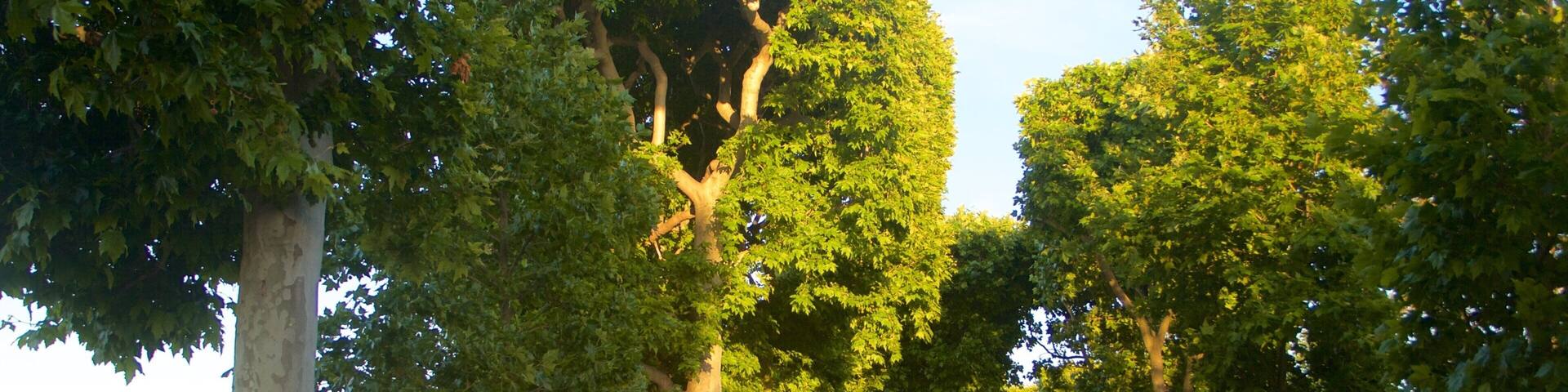 Champ de Mars which includes a park