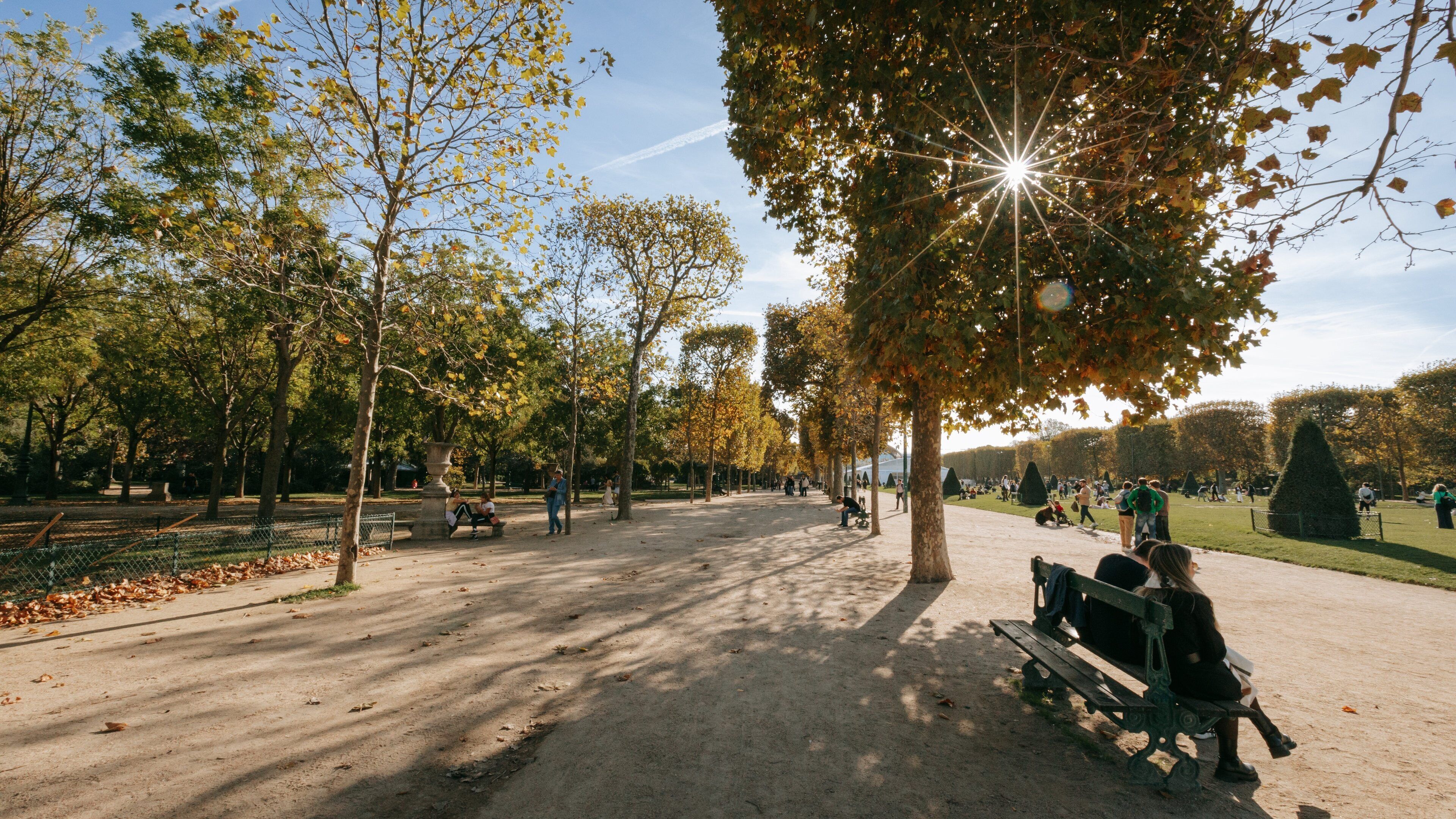 Champ de Mars showing a sunset and a park