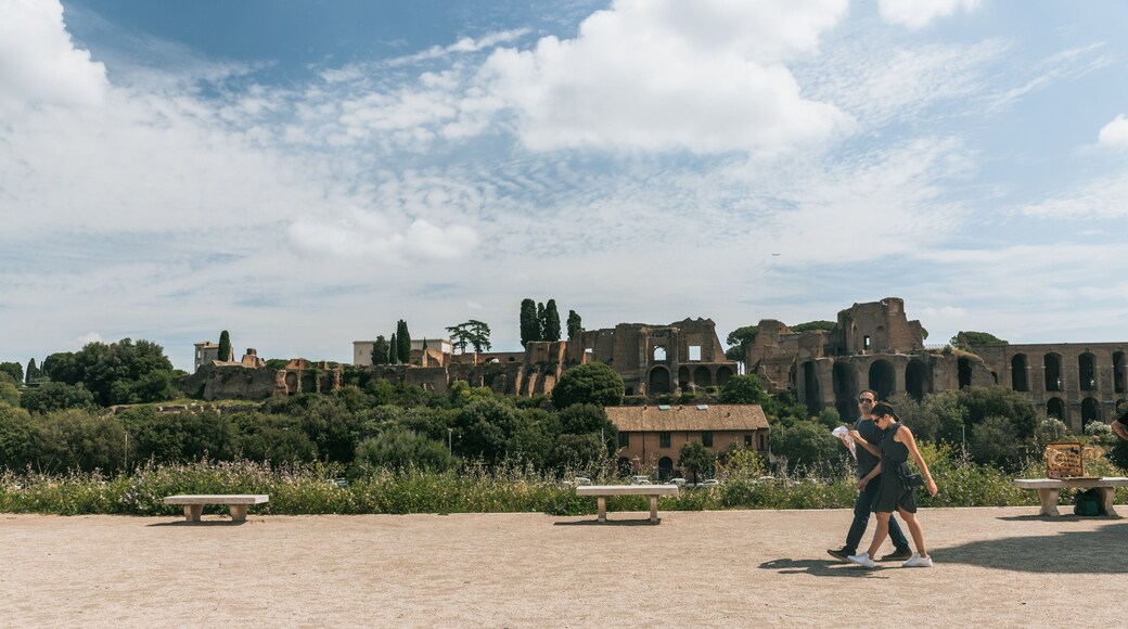 Circus Maximus which includes a garden, a ruin and heritage architecture