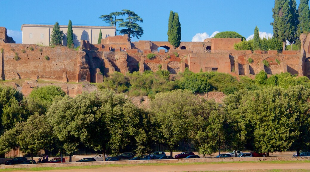 Circus Maximus showing heritage elements, heritage architecture and a ruin
