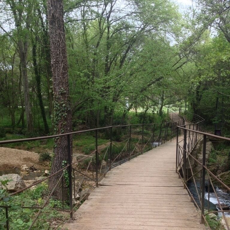 The small wooden bridge.
Le petit pont de bois. 
