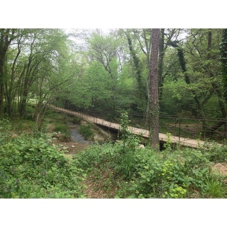The small wooden bridge. 
Le petit pont de bois. 
