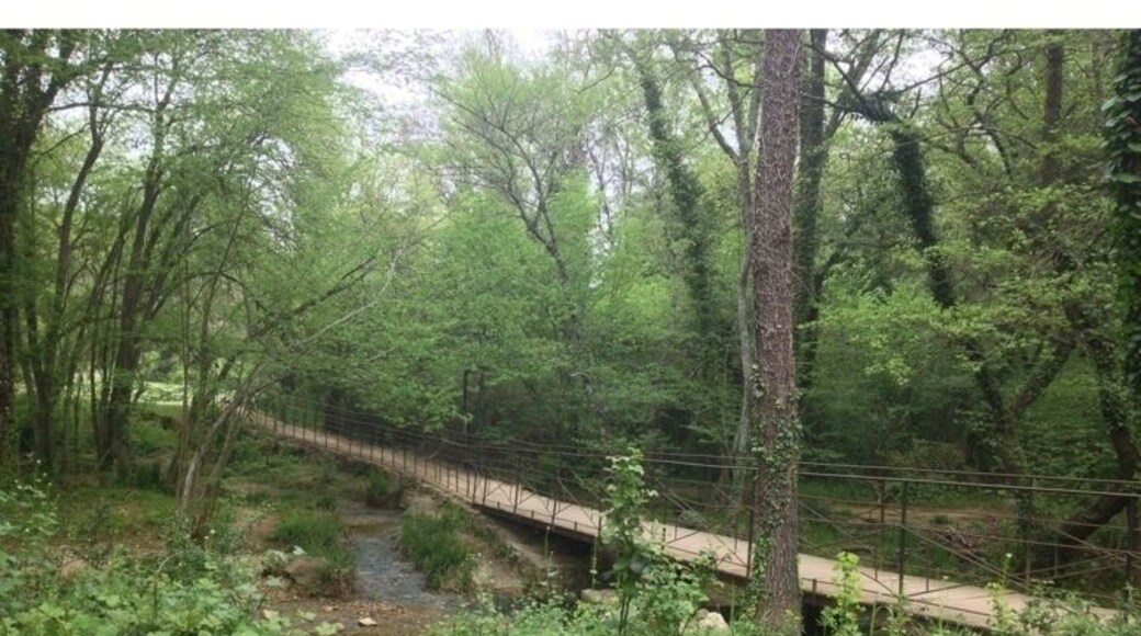 The small wooden bridge.
Le petit pont de bois.