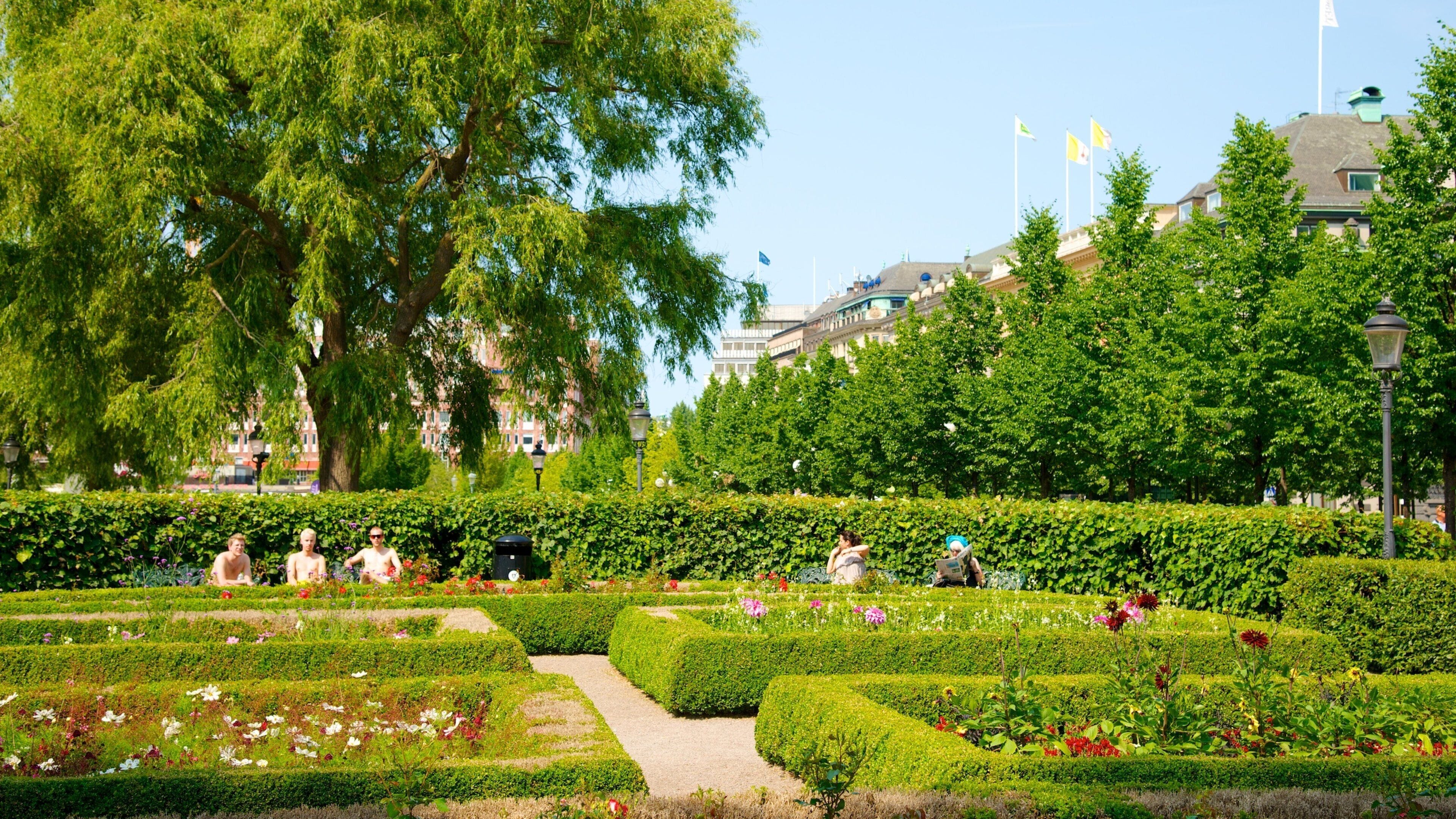 King\'s Garden featuring a garden and flowers