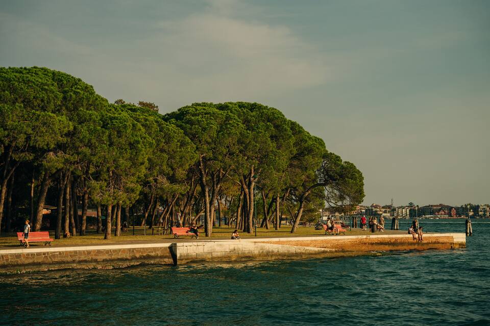 A waterfront park with trees, benches, and people.