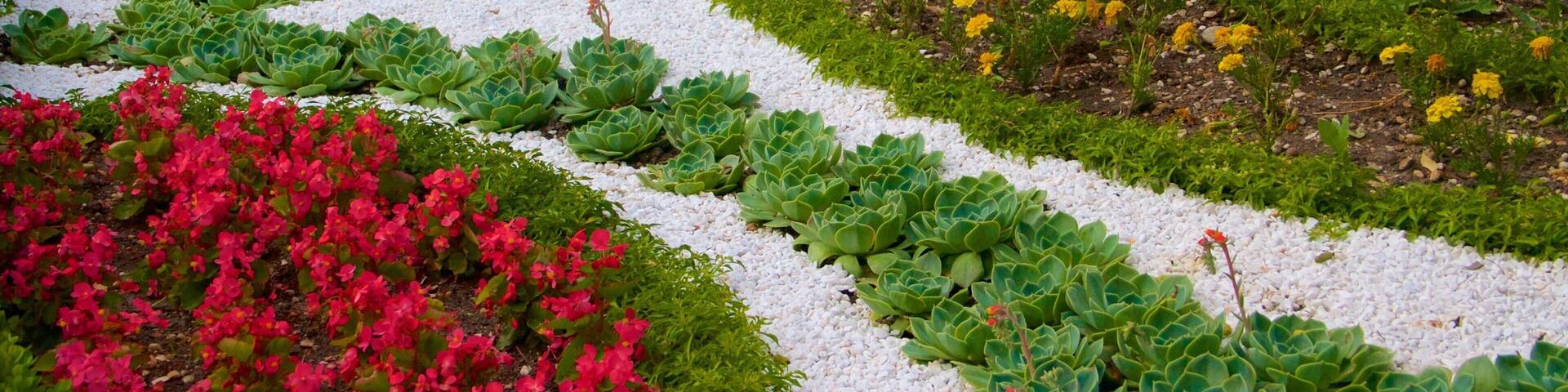 Stadtpark featuring a park and flowers