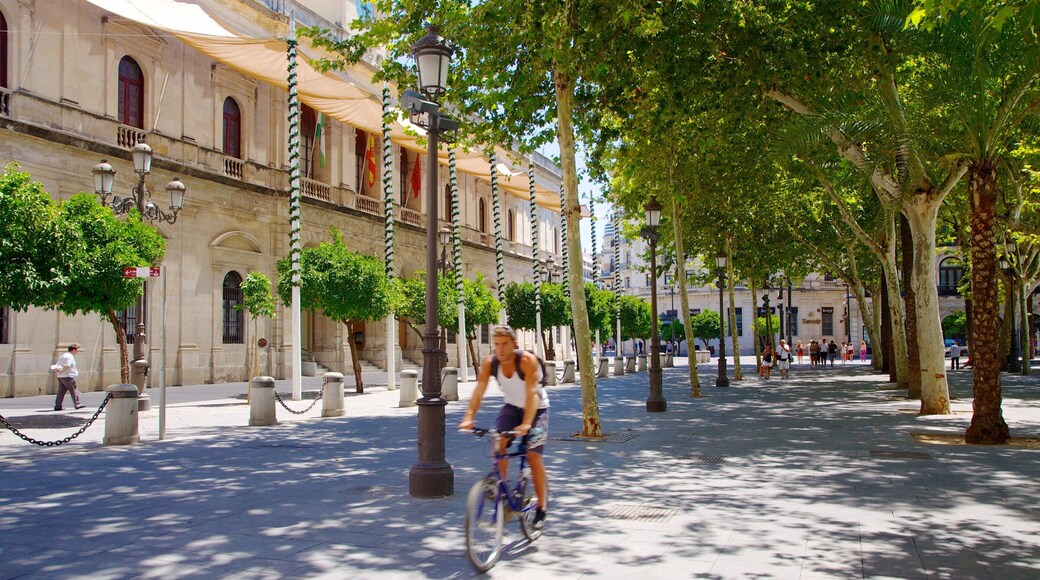 Plaza Nueva montrant ville, vélo et scènes de rue