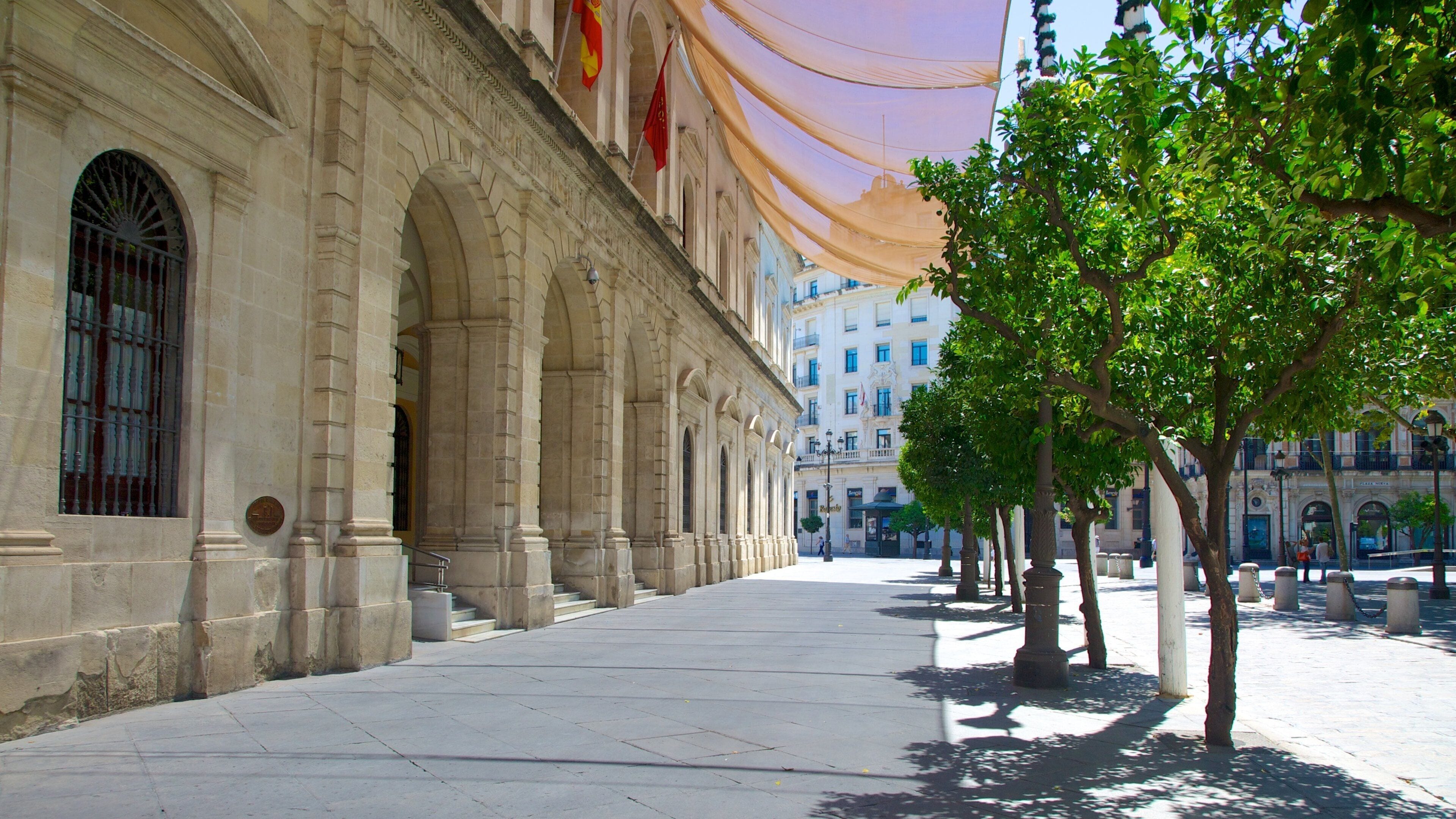 Plaza Nueva montrant ville, scènes de rue et bâtiment public