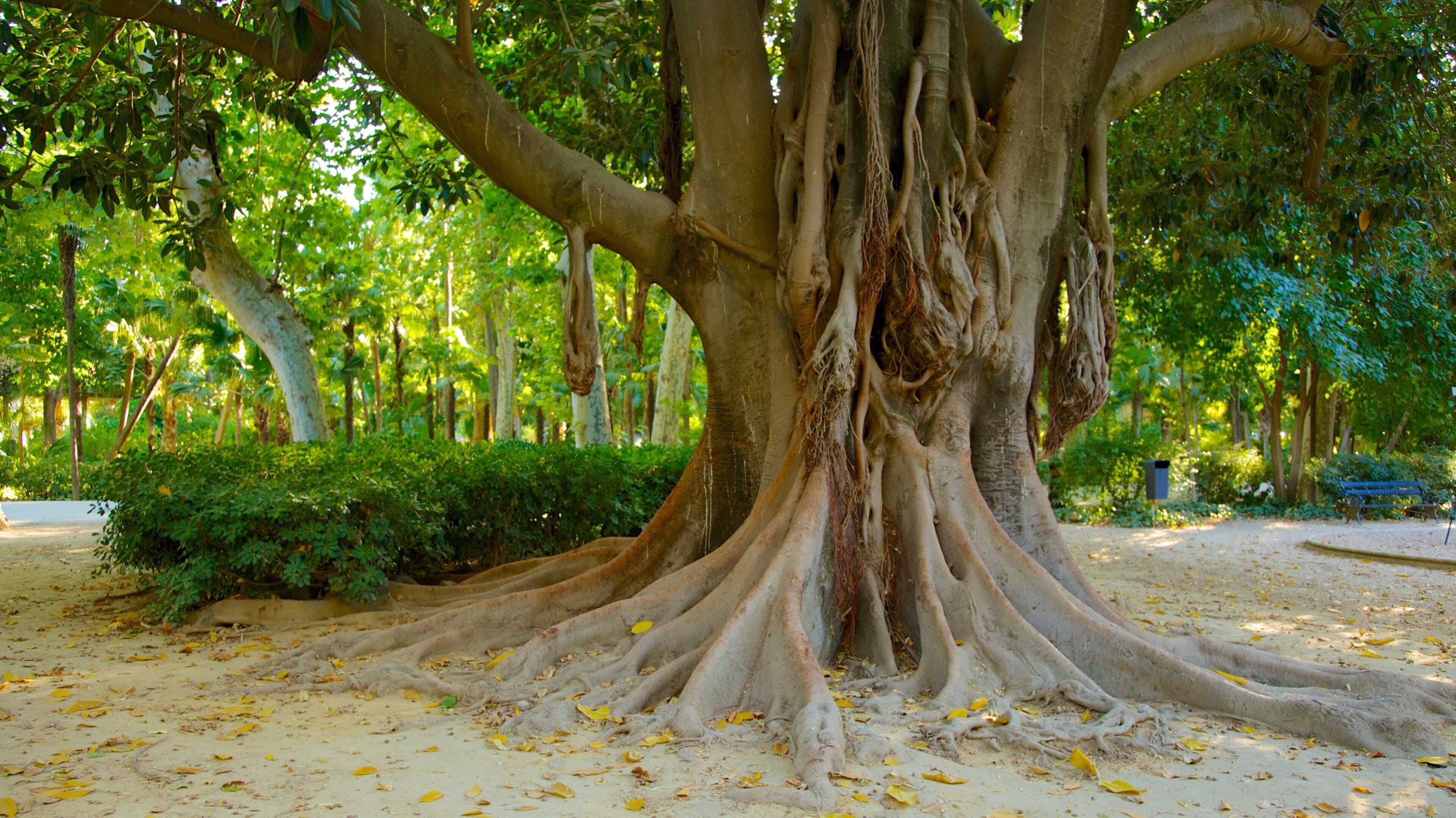 마리아 루이사 공원 을 보여주는 공원