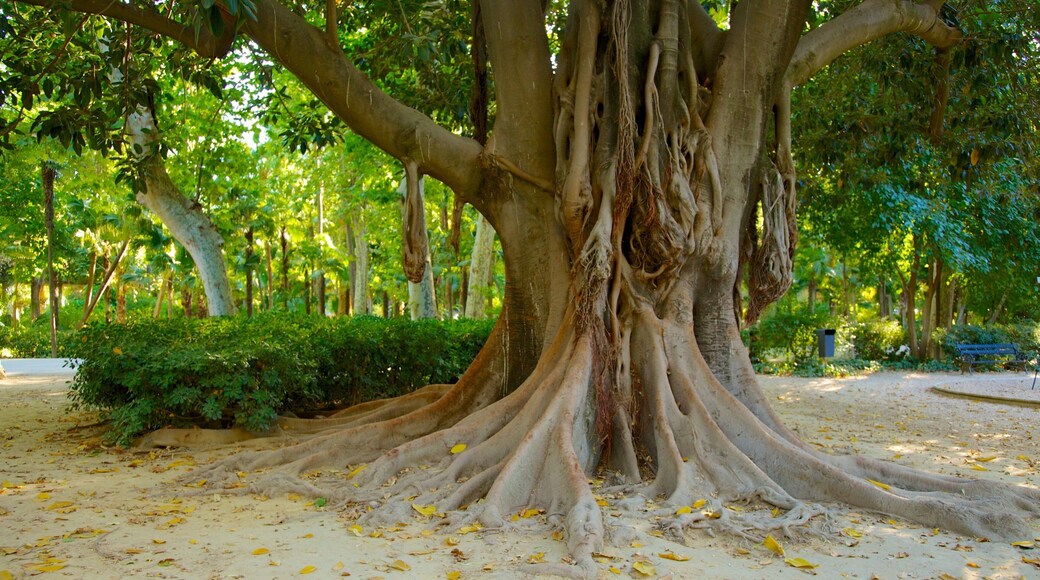 마리아 루이사 공원 을 보여주는 공원