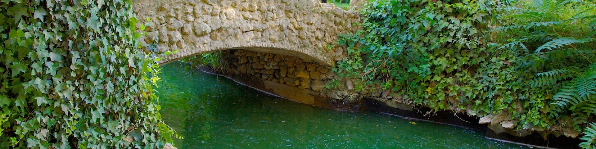 Maria Luisa Park which includes a river or creek, a park and bird life