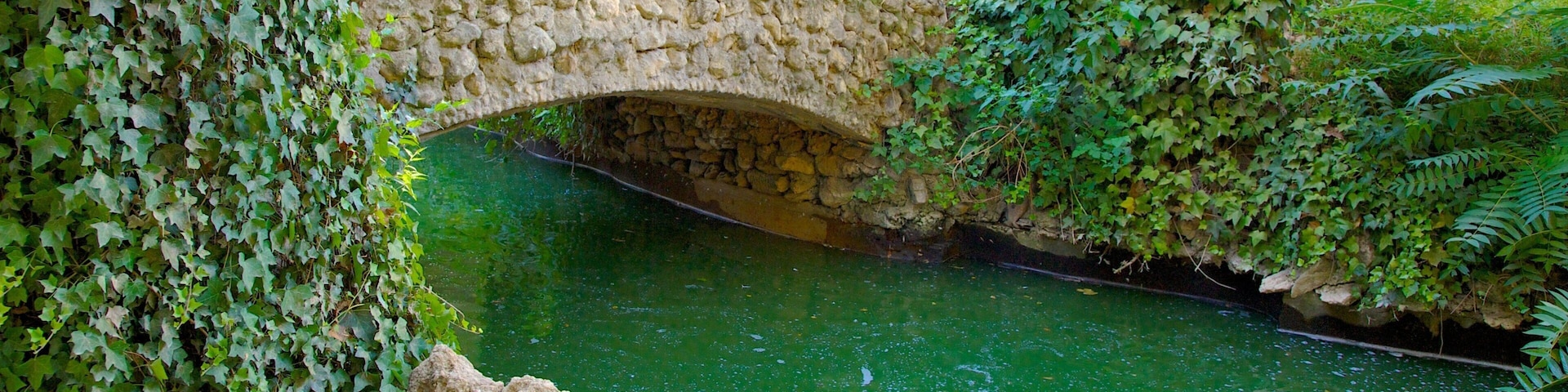 Maria Luisa Park which includes a river or creek, a park and bird life
