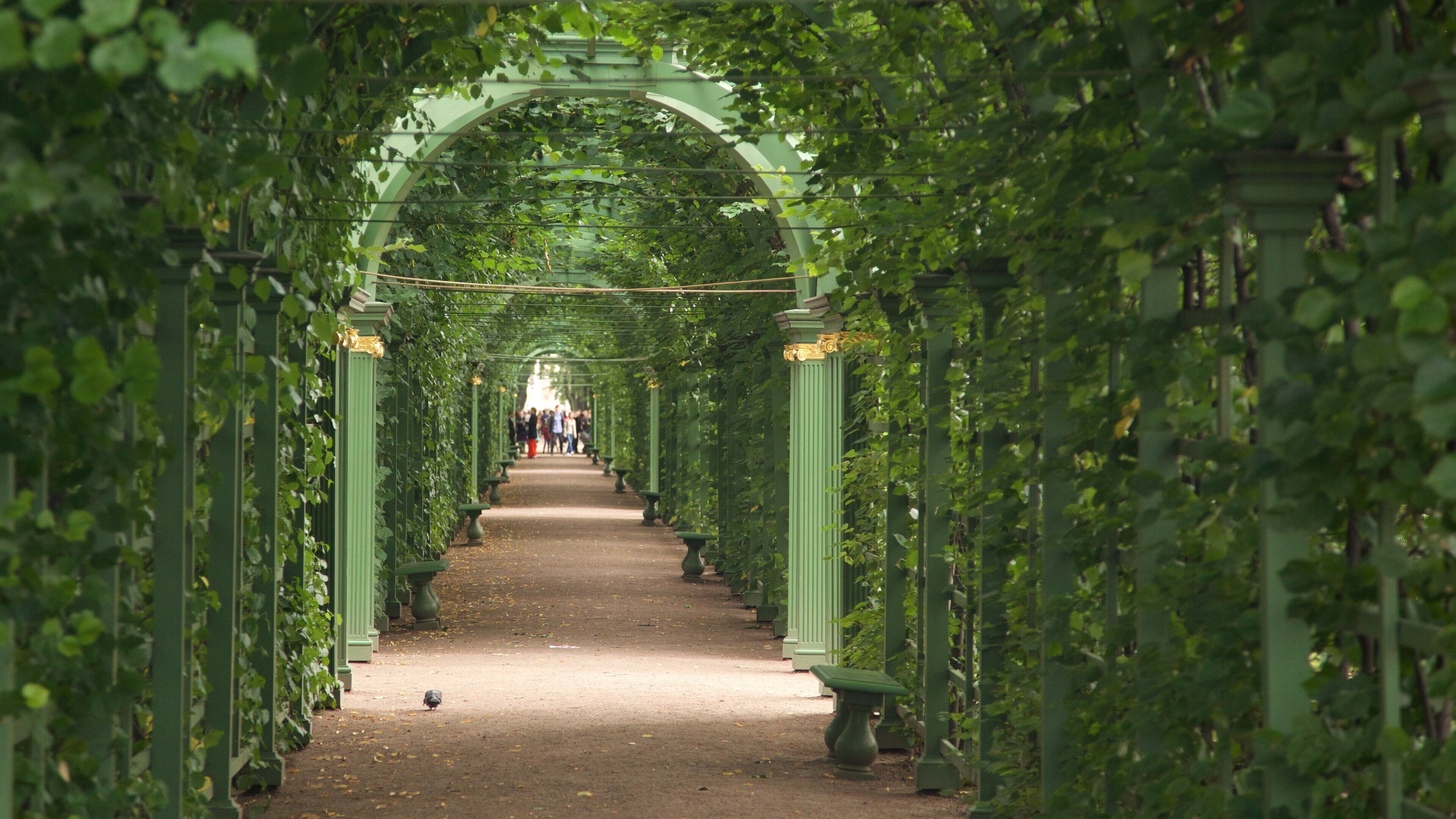 St. Petersburg City Centre