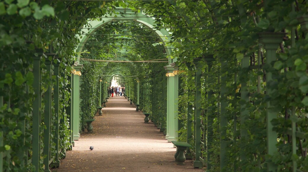 St. Petersburg City Centre