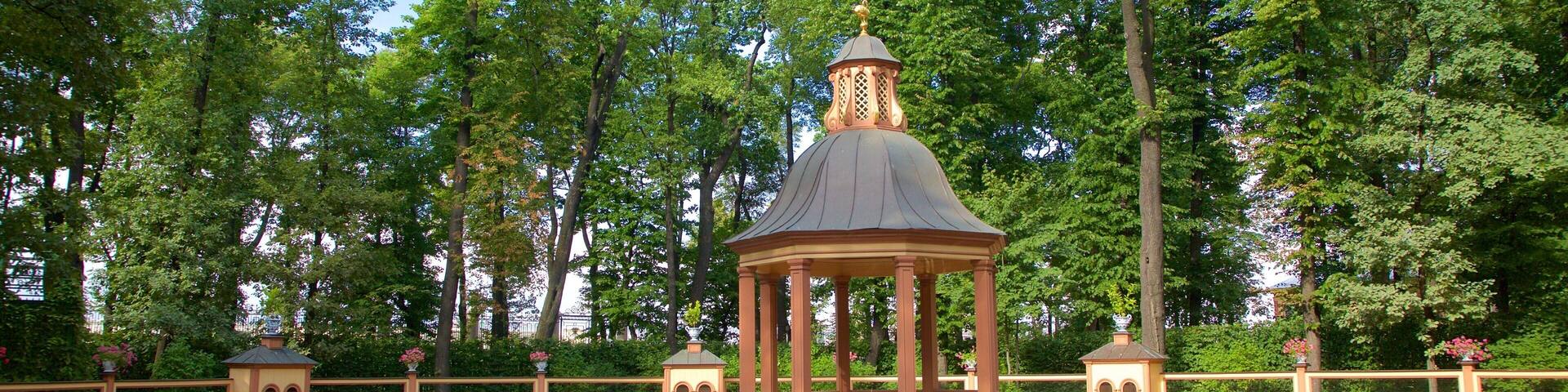 Summer Garden which includes a garden and a pond