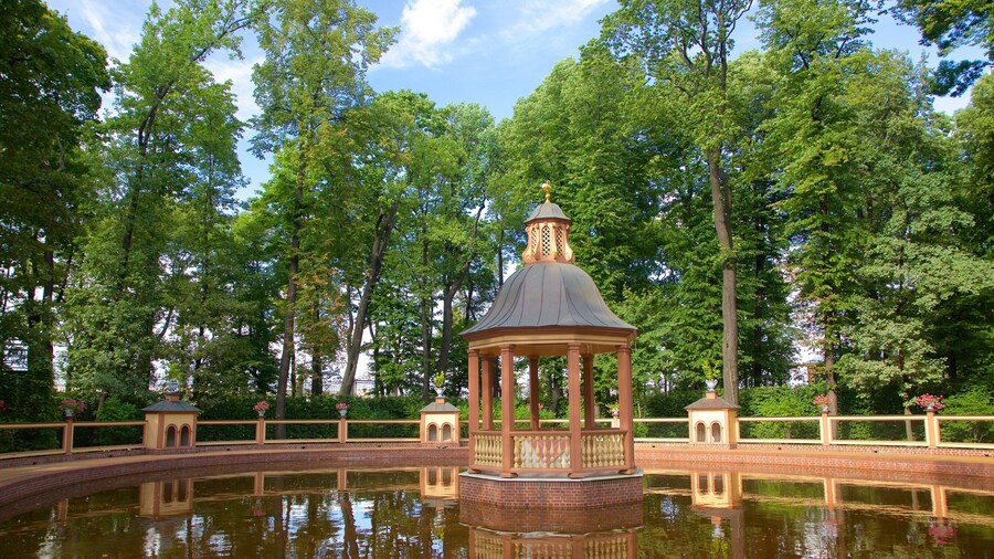 Jardin d\'été qui includes mare et jardin