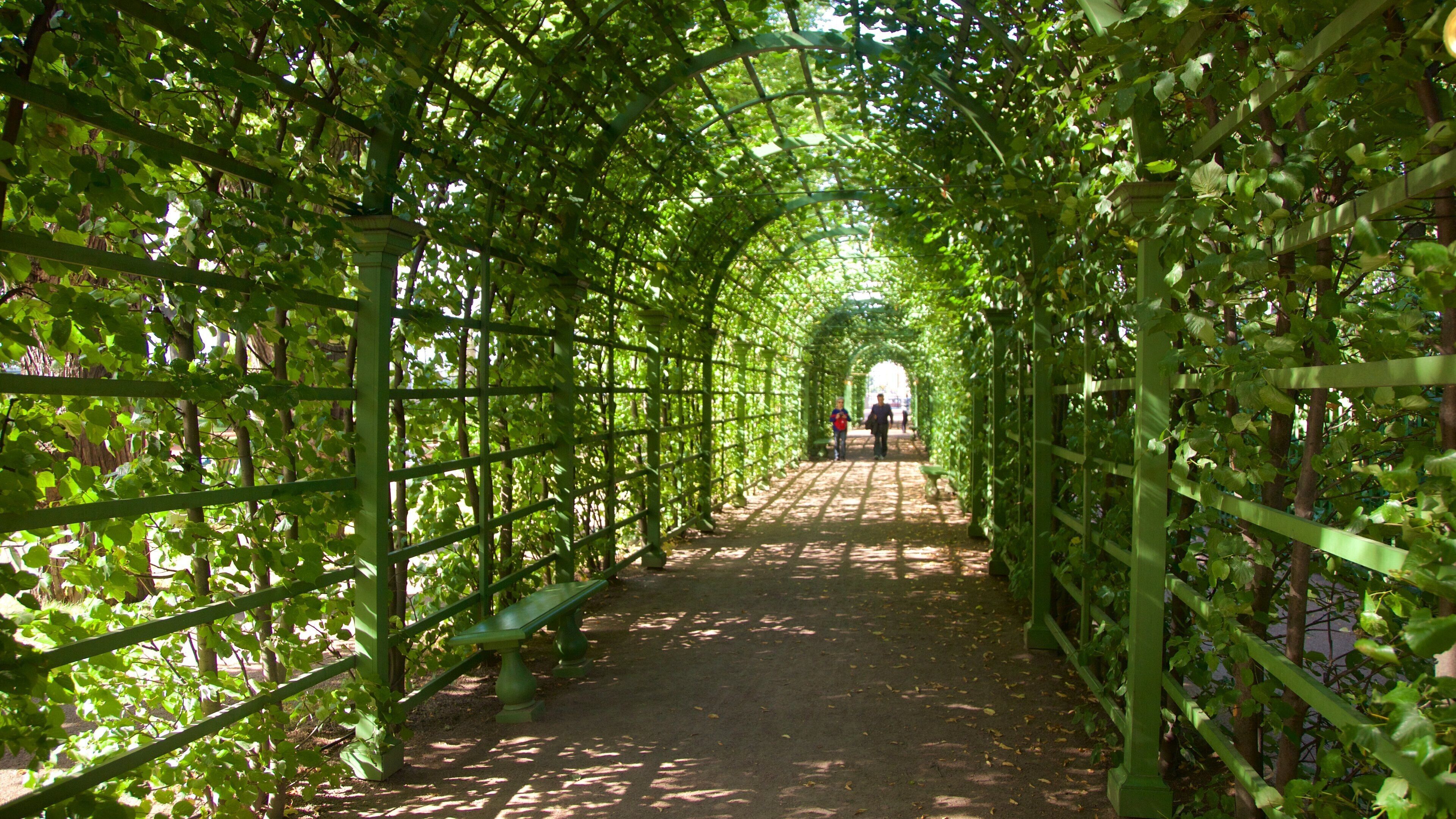 Summer Garden which includes a park