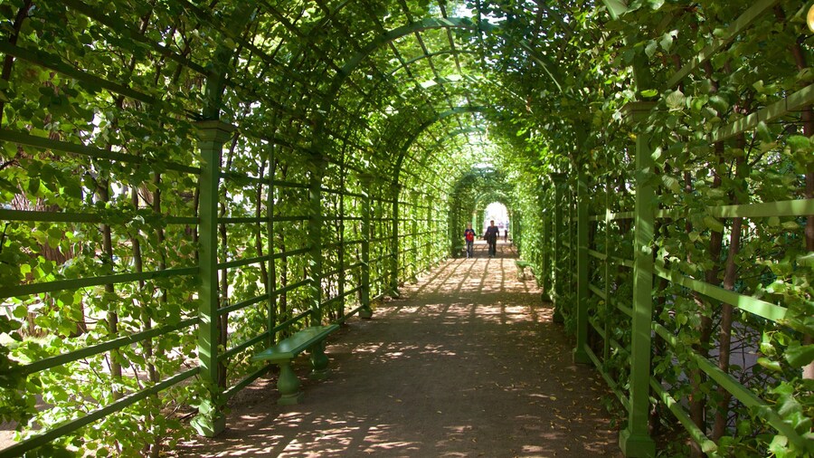 Summer Garden which includes a park