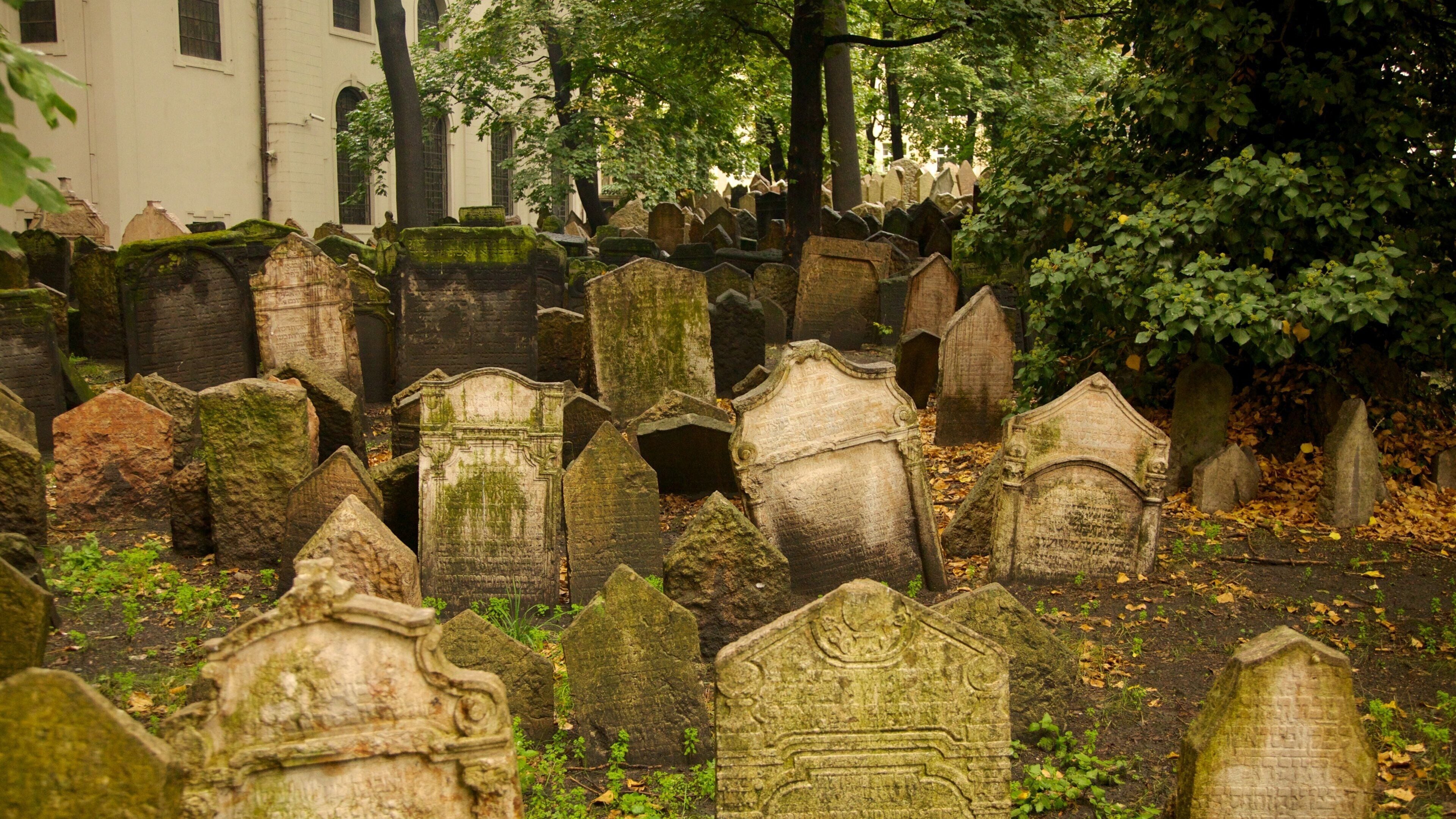 Old Jewish Cemetery 呈现出 墓地 和 宗教元素