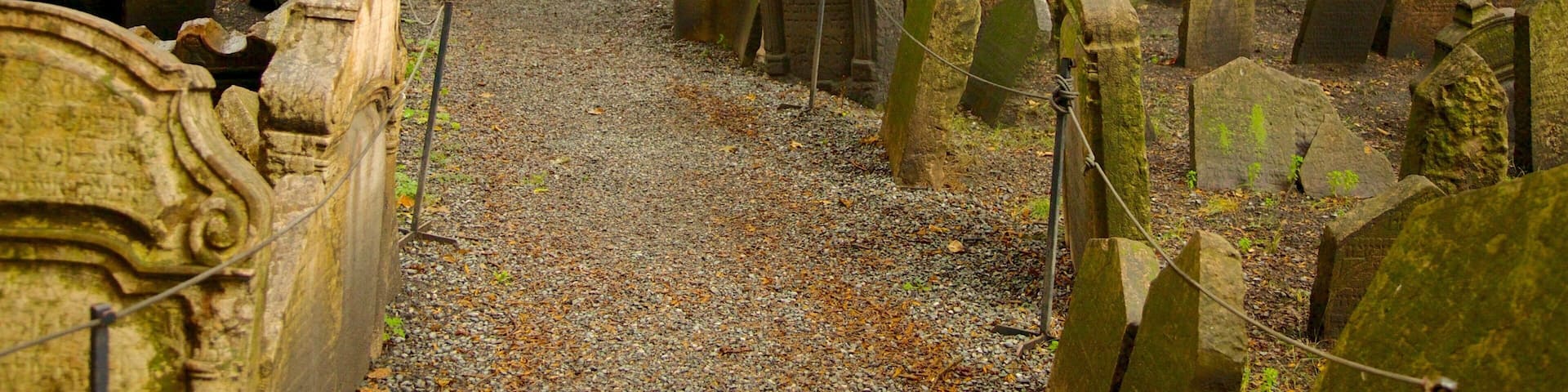 Old Jewish Cemetery in Prague showcases ancient gravestones amidst serene greenery and historical significance