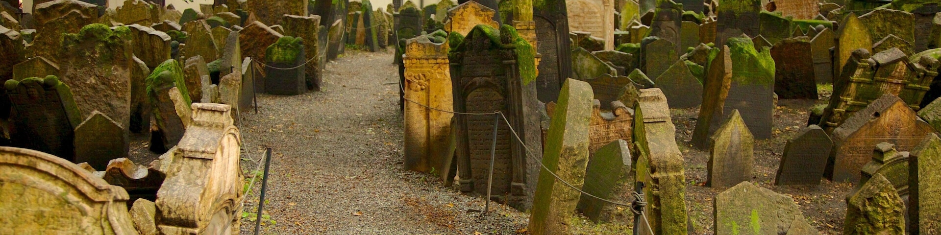 Old Jewish Cemetery in Prague showcases ancient gravestones amidst serene greenery and historical significance