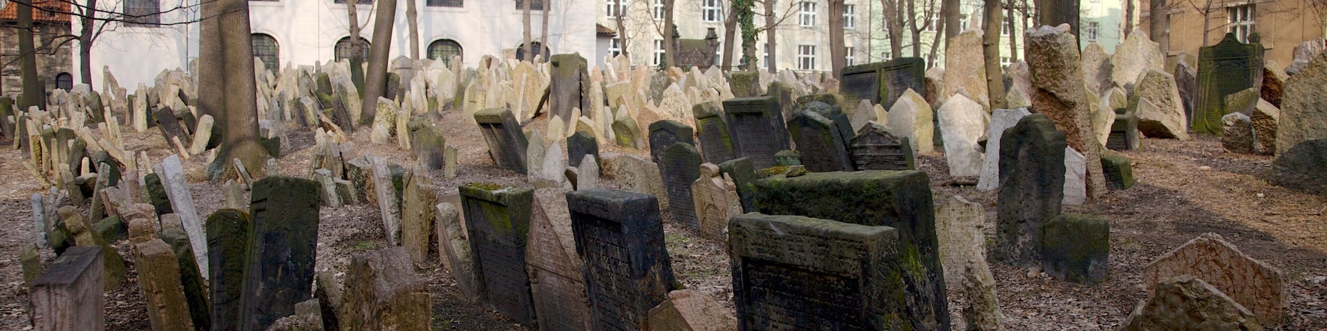 Old Jewish Cemetery which includes a cemetery and a memorial